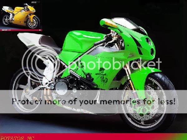 ducatiPOTATO_rev.jpg